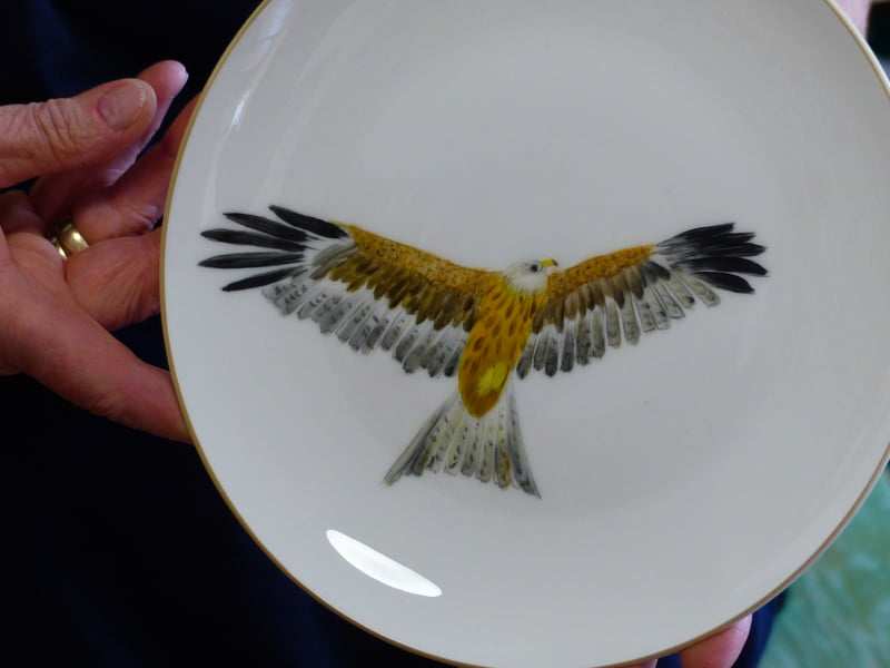 Porzellanteller mit handgemaltem Greifvogel